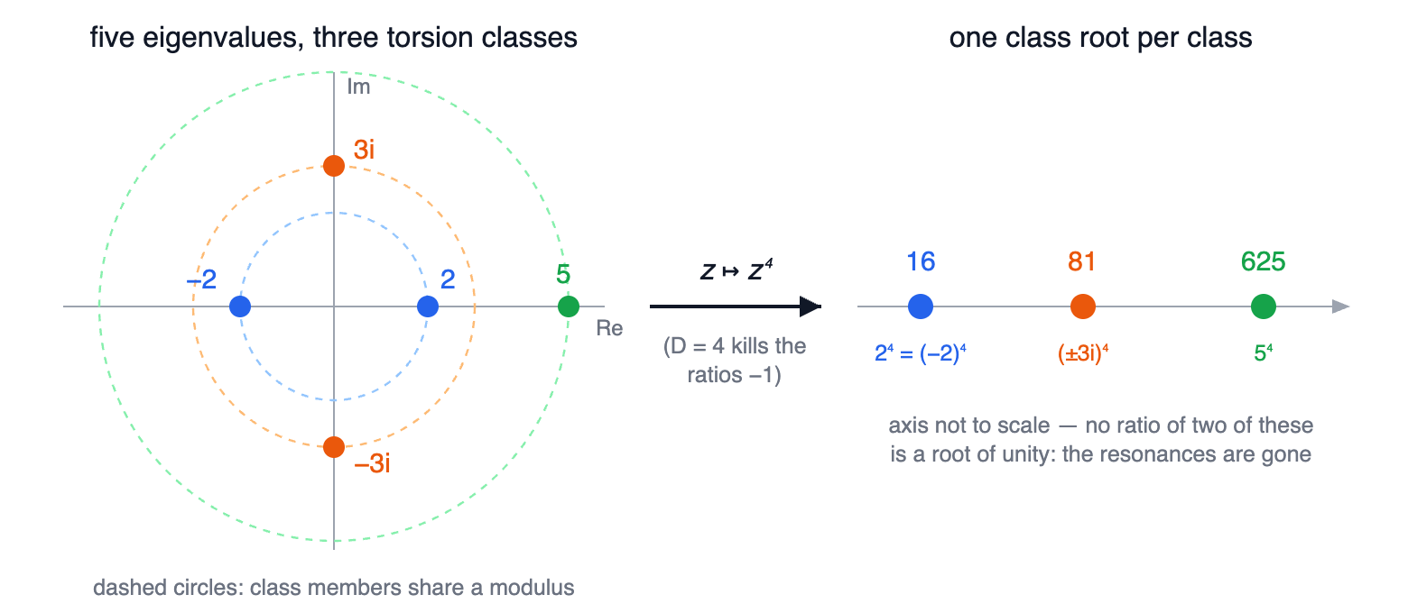 Five eigenvalues in the complex plane collapsing into three class roots under fourth powers